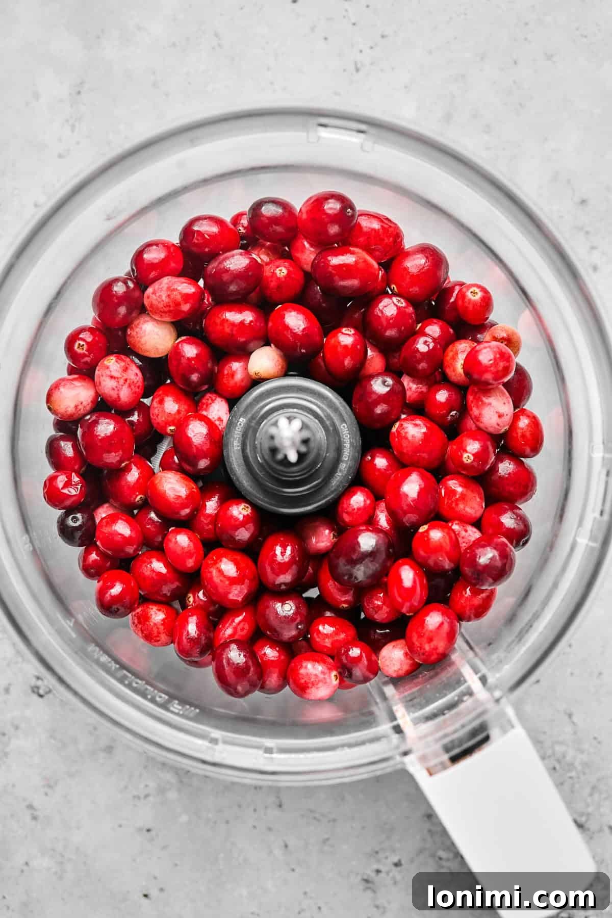 Dairy-Free Cranberry Jalapeno Dip: The Perfect Sweet Heat 4 cranberries in a food processor
