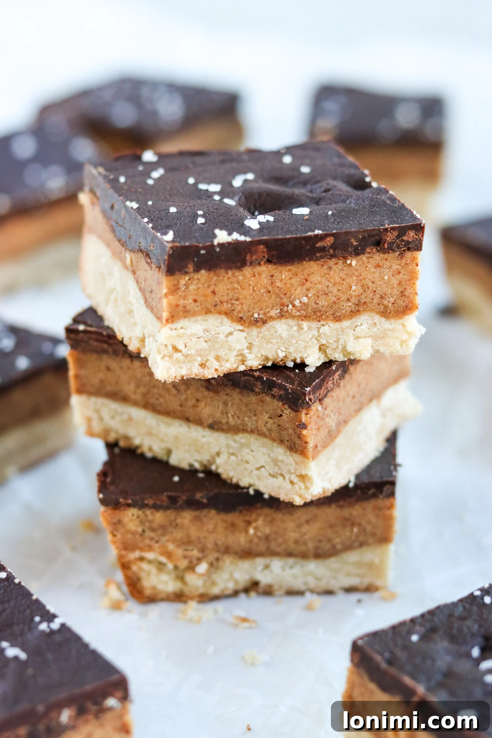 Gluten Free shortbread bars stacked on top of each other with sea salt. 