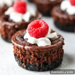 chocolate protein cheesecake with whipped cream and raspberries on top